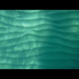 Meet your Posher, Lia